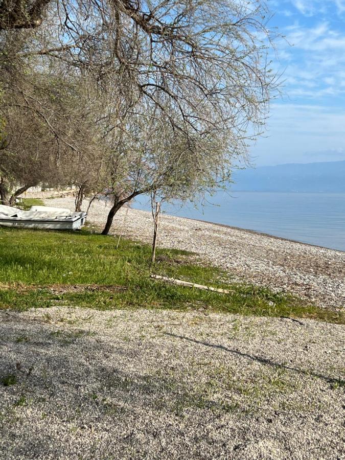 Yoco Βίλα Ελαιώνας Εξωτερικό φωτογραφία